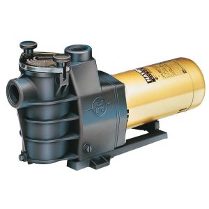Pompe max-flo de Hayward