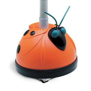 Nettoyeur coccinelle